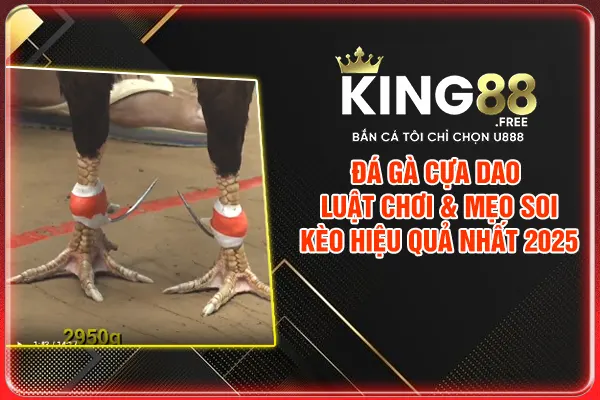 Đá Gà Cựa Dao | Luật Chơi & Mẹo Soi Kèo Hiệu Quả Nhất 2025